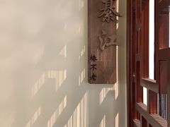 -椿不老