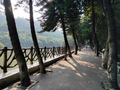 -滴水岩森林公园
