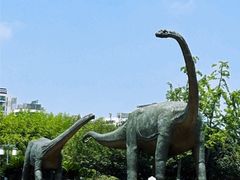 -安徽省地质博物馆