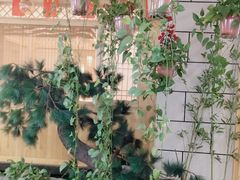 -九田家黑牛烤肉料理·自助(洪洞县城市花园店)