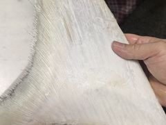 -鼎仔翅(龙湖公寓北区店)