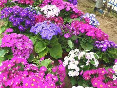 -廊坊文化艺术中心