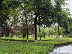 -沐仙湖湿地公园
