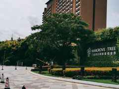 -三亚湾红树林度假世界(木棉酒店)