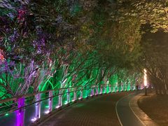 -苏州河梦清园环保主题公园