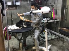 -PETKIT小佩宠物(昭化店)