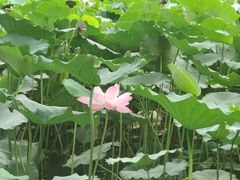 -莲池书院博物馆