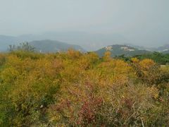 -鲁山国家森林公园