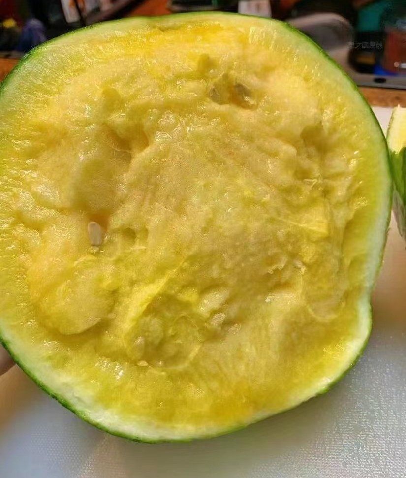 黄瓤西瓜,15元一个!