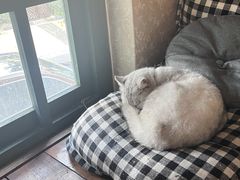 -豌豆小院咖啡馆