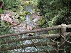 -碧峰峡风景区
