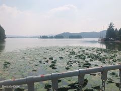 -东湖落雁景区