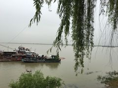 -湖南东洞庭湖国家级自然保护区