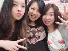 -WHEN PIGS FLY当猪飞