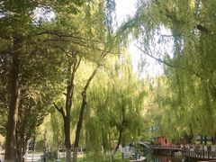 -水磨沟公园