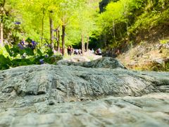 -十渡东湖港风景区