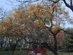 -玲珑塔公园