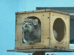 -青藏高原野生动物园