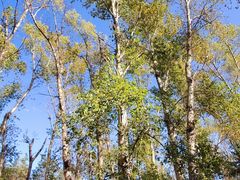 -长春市南湖公园