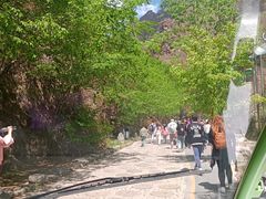 -十渡东湖港风景区