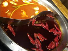 -大龙燚火锅(春熙店)