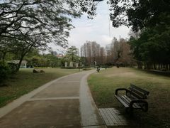 -四海公园(南山区)