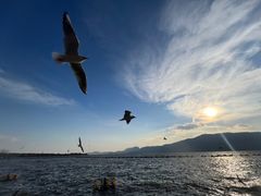 -海埂大坝