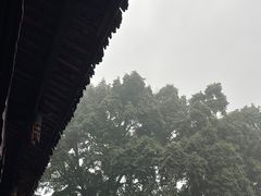 -峨眉山报国寺