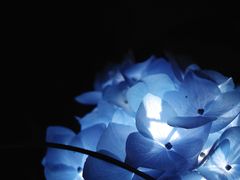 -常州古运河南大街文化旅游区-人民公园