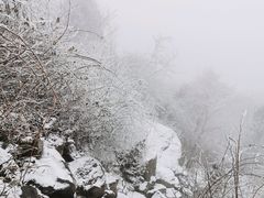 -九峰山