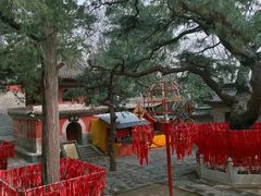-八大处公园