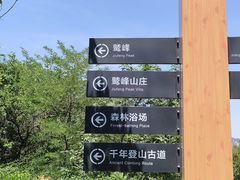-北京鹫峰国家森林公园