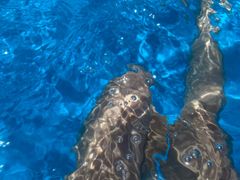 -上海玛雅海滩水公园