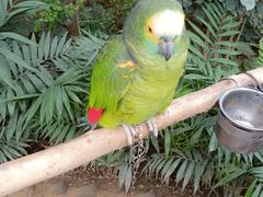 -南宫五洲植物乐园