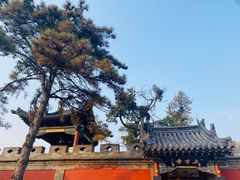 -晋祠公园