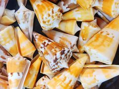 -摩登百货(岗顶店)