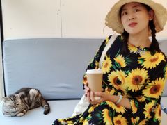 -有猫主题·治愈系猫咖(曾厝垵店)