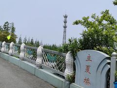 -上海长兴岛郊野公园