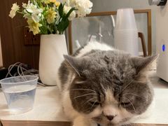 -Again Coffee Roaster(香蜜湖店)