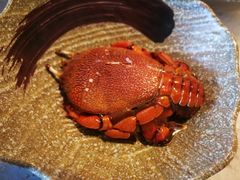 -阳光岛·海鲜盛宴(银泰中心in99店)