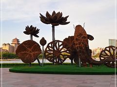 -莲花池公园