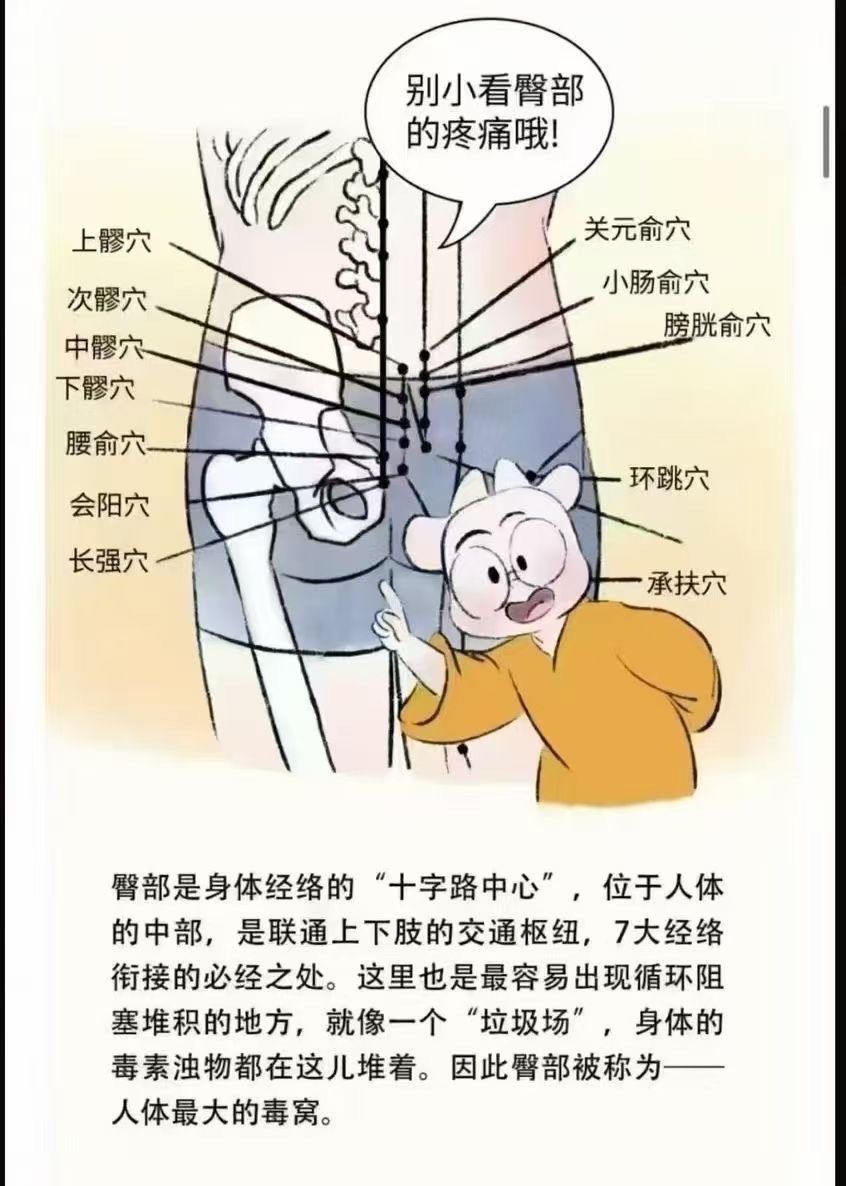 就多寒
臀部是连接人体上焦气血和下焦气血运行的桥梁
一旦受堵