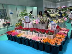 -盒马X会员店(上海森兰商都店)