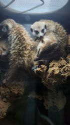 -未来动物城主题公园(正弘城店)