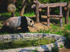 -石家庄市动物园