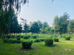 -丁香湖公园