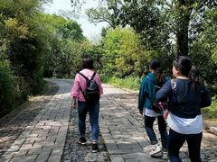 -紫金山山顶公园