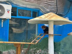 -栾川竹海野生动物园