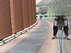 -普林斯顿大学