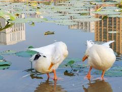 -木塔寺遗址生态公园